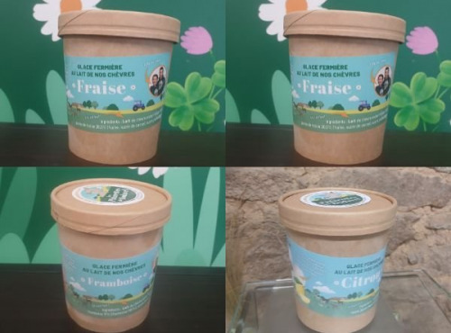 Les Pâturettes de Bodavel - Pack fruité 4x480ml