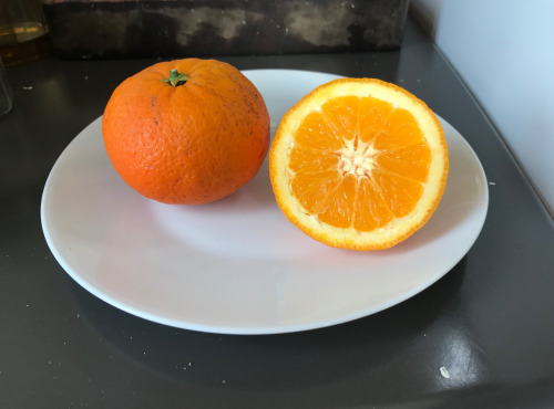 Le Jardin des Antipodes - Orange Douce Variété Ancienne