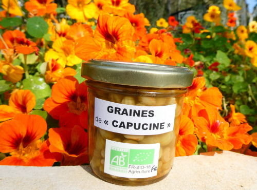 Terres EnVie - Graines de Capucines Bio