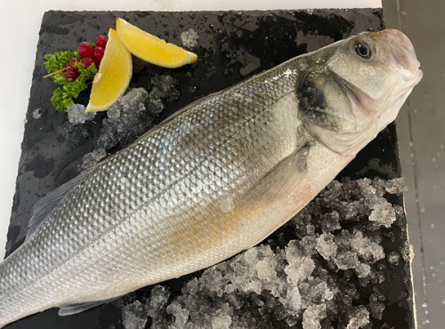 Notre poisson - Bar sauvage écaillé vidé 800g/1kg en lot de 3kg