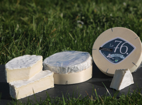 Ferme Dumesnil - Camembert Le 76