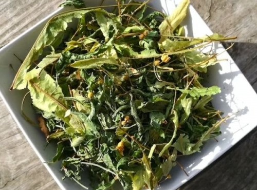 La Cabane à plantes - Infusion Tilleul verveine menthe