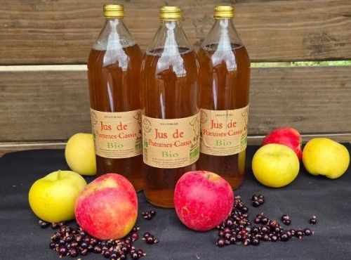 Le verger bio de Quinsac - Lot de 3 Jus de pomme/cassis 1L BIO et DEMETER