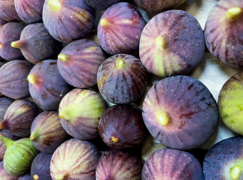 Naturélium - Figue noire fraîche d'Ardèche