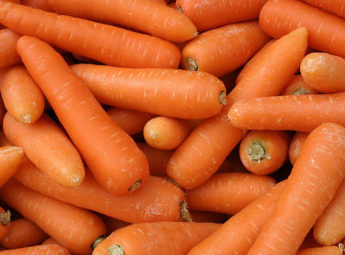Maréchal Fraicheur - Carottes BIO - 5 kg