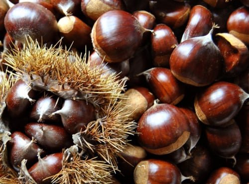 Mademoiselle Châtaigne - Châtaigne fraiches - 900kg (réservée)