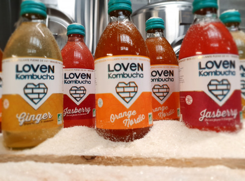 LOVEN Crew - Brasserie L'Indispensable - Kombucha Winter Pack 12x33cl (6 Orange Nørdic, 3 Jasberry, 3 Ginger
