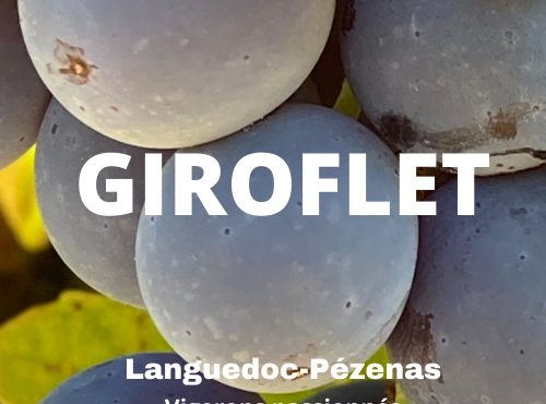 Domaine Giroflet - Giroflet Blanc 2024 - 6 bouteilles