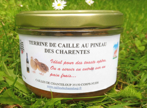 Cailles de Chanteloup - LOT 10 Cailles Prêtes À Cuire Minimum 2,2kg + 1 verrine 190 gr