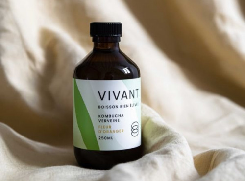 Vivant Kombucha - Kombucha Verveine Fleur d'oranger Bio x12