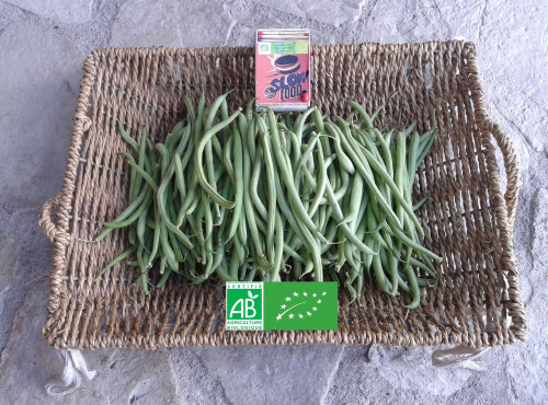 LES JARDINS DE KARINE - Haricot vert - 1 kg