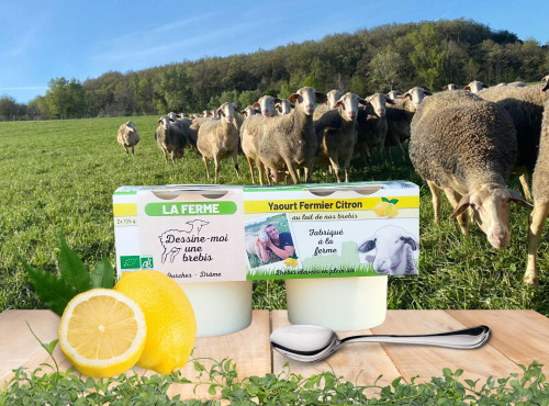 Dessine moi une brebis - Yaourt Brebis Citron 2x125g