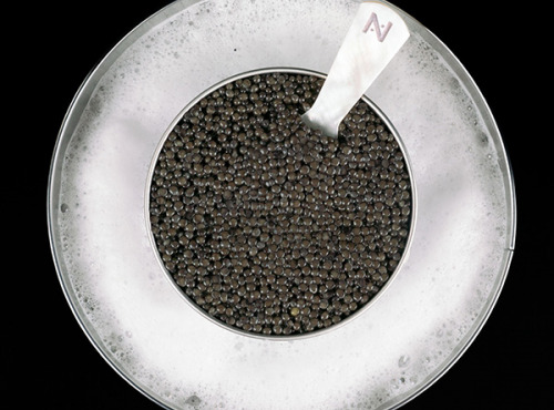 Caviar de Neuvic - Caviar Baeri Signature 30g