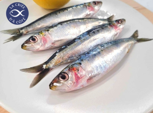 La Criée d'à Côté - Sardines Sauvages - Lot 1 Kg
