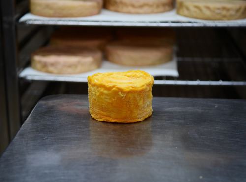 Alléosse Maitre Artisan Affineur Fromager - Langres affiné au Marc de Bourgogne AOP