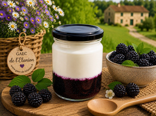 Gaec de l'Elanion - Fromage Blanc Confiture Mûres 130g
