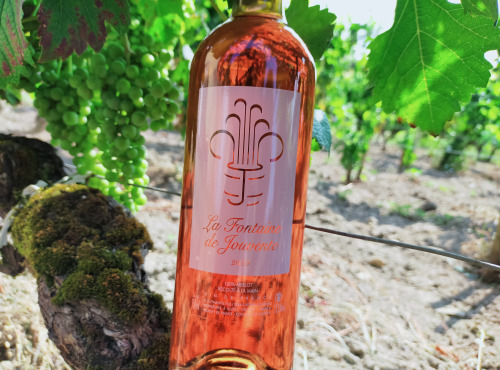 Château Jouvente - La Fontaine de Jouvente Rosé 2019 - 6 Bouteilles
