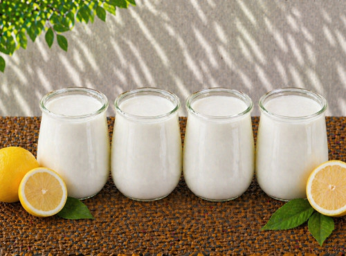 Gaec de l'Elanion - Yaourt Citron x4