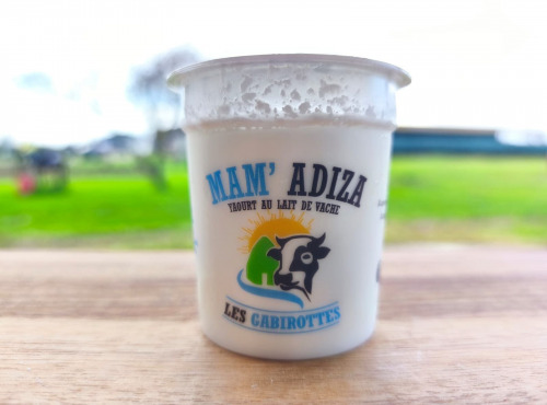 Ferme Mam'Adiza - Yaourt Vanille x4