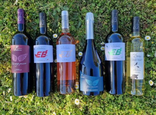 Château Balsamine - Coffret Découverte – Château Balsamine – 6 Vins (Rouge, Rosé, Blanc Sec, Blanc Doux & Bulle)