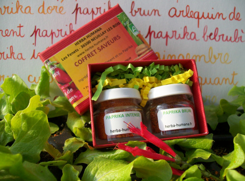 HERBA HUMANA - Coffret Saveurs 100% Épices Bio Cultivées en France : Paprika Intense et Paprika Brun