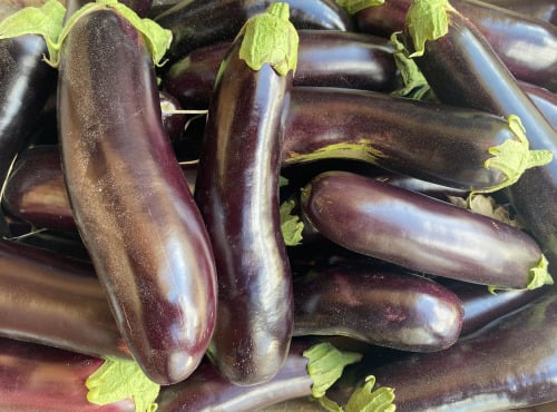 Des Poules et des Vignes à Bourgueil - Grosses Aubergines