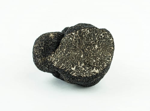 ALENA la Truffe d'Aquitaine - Truffe Noire Du Périgord Fraiche Tuber Melanosporum - 50g