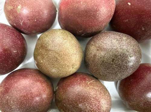 L'OLIVERAIE DU COUDON - FRUITS DE LA PASSION 1kG env (10/12pieces)