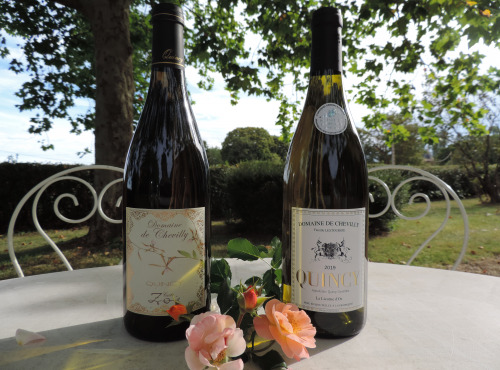 Domaine de Chevilly - Coffret Découverte AOC Quincy - 2 Bouteilles