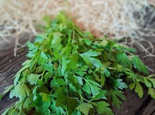 Les Jardins de Gérard - Persil plat Bio -100 g x 10