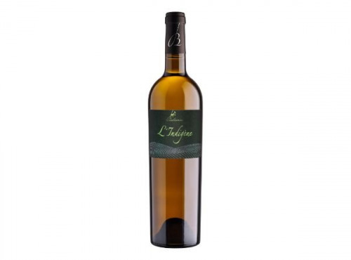 Château Balsamine - IGP Côtes du Tarn Blanc Viognier "L'Indigène" 2023 6x75cl