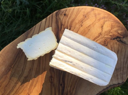 Ferme Fromagère Riès - La Brique De Brebis
