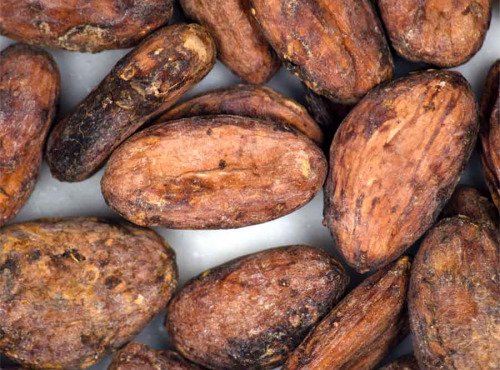 Barre Clandestine - Fèves de cacao crues - 200g
