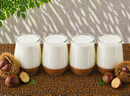 Gaec de l'Elanion - Yaourt Confiture Chataigne x4