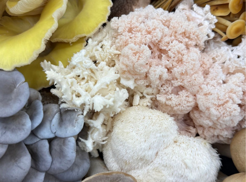 Naturélium - Panier mix du moment 4kg