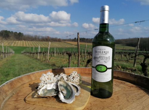 Domaine de la Tuilerie - AOP Côtes De Duras -Blanc Sec 2020- Domaine de La Tuilerie Labreille- 1 x75cl