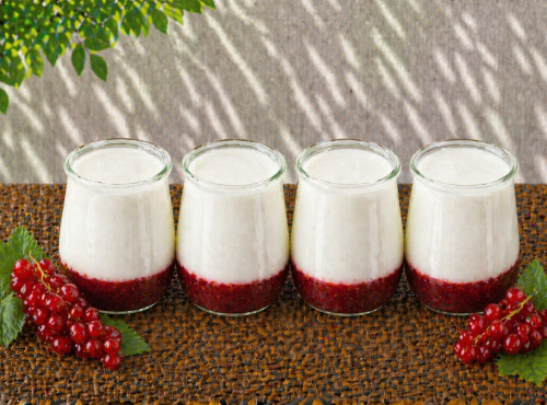 Gaec de l'Elanion - Yaourt Confiture Groseille x4