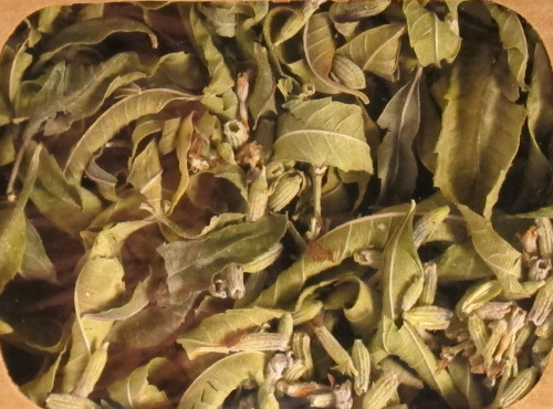 Les Jardins du Mas de Greil - Verveine-lavande, Tisane Composée