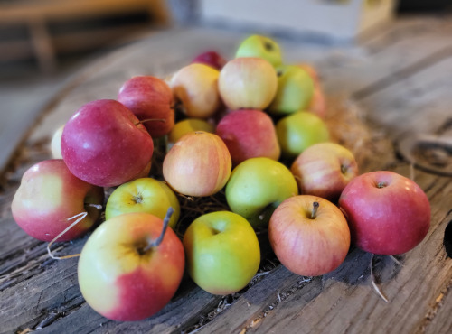 Les Jardins de Gérard - Panier panaché de pommes Bio