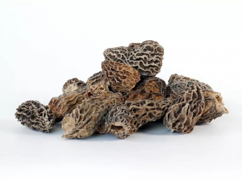 Truffes des Roches - Morilles séchées CANADA 50g