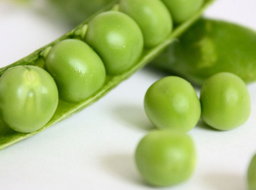 Adal Terra - Pâtes - Coquillages Bio Pois Cassés 500G