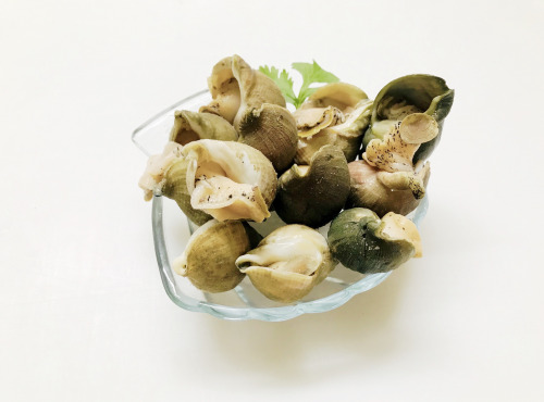 Mer Sea - Bulots Vivants de la baie de Granville 500 g