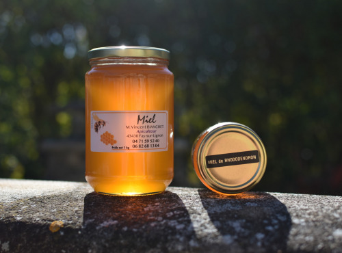 La Truite du Mézenc - Miel de rhododendron 500g