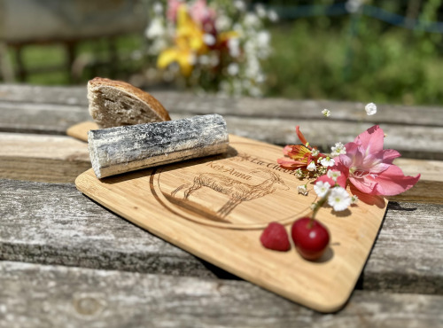 Chèvrerie de Ker Anna - Bûche cendrée fraîche