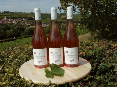 Domaine Doudeau-Leger - Sancerre Rosé AOC 2023 - 3 Bouteilles