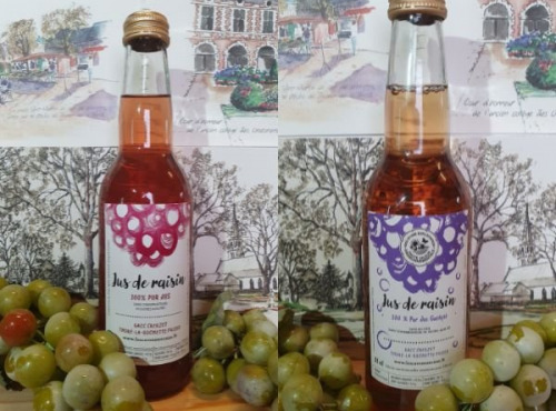 Cave Creuzet - Les Caves aux Caux - Assortiment Jus de raisin 33cL Nature et Pétillant - sans alcool - Lot de 12