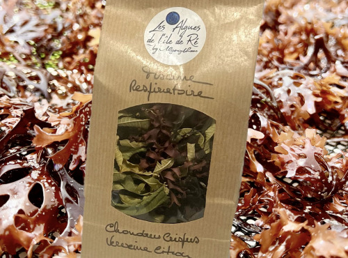 Les Algues de l'Île de Ré - Tisane  Chondrus Crispus Verveine-citron-Pioca-Rétha