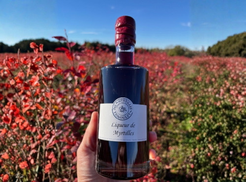 Myrtilles du Trimoulet - Liqueur de Myrtille - 37.5 cL