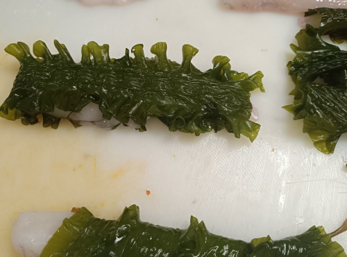 Algolesko - Algue Kombu Royal Bio 1kg