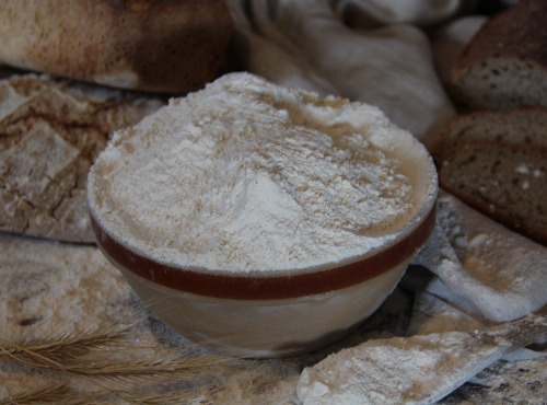 Le Verger de Crigne - Farine blé T130 bio - 1kg